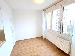 Pronájem bytu 1+1, České Budějovice, Kubatova, 50 m2