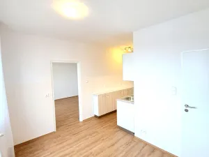 Pronájem bytu 1+1, České Budějovice, Kubatova, 50 m2