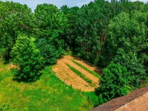 Prodej zemědělské usedlosti, Hostouň - Slatina, 850 m2