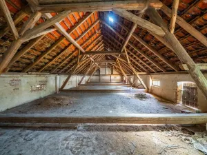 Prodej zemědělské usedlosti, Hostouň - Slatina, 850 m2