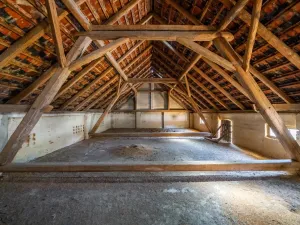 Prodej zemědělské usedlosti, Hostouň - Slatina, 850 m2