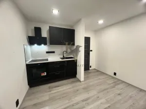 Pronájem bytu 1+kk, Ostrava, Čujkovova, 33 m2
