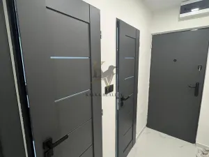 Pronájem bytu 1+kk, Ostrava, Čujkovova, 33 m2