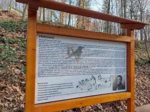 Pronájem bytu 1+kk, Ostrava, Čujkovova, 33 m2