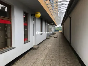 Pronájem bytu 1+kk, Praha - Krč, Štúrova, 20 m2