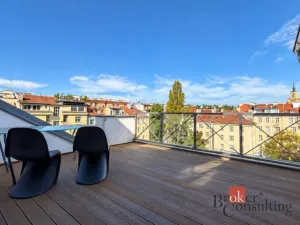 Pronájem bytu 1+kk, Praha - Dejvice, Nikoly Tesly, 46 m2