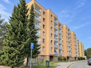 Prodej bytu 1+1, Častolovice, U Konopáče, 43 m2