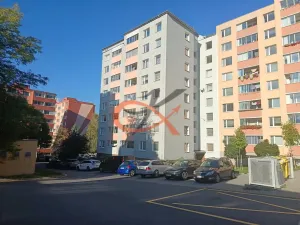 Prodej bytu 3+1, Hranice, Nová, 71 m2