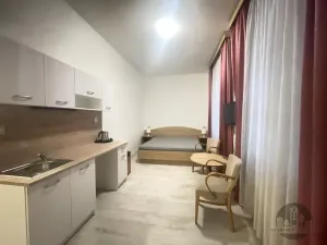 Pronájem bytu 1+kk, Praha - Smíchov, Plzeňská, 26 m2