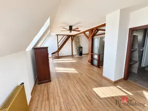 Prodej bytu 4+kk, Litvínov - Horní Litvínov, Podkrušnohorská, 165 m2