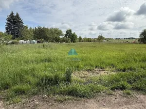 Prodej zahrady, Františkovy Lázně - Horní Lomany, Horní, 1146 m2