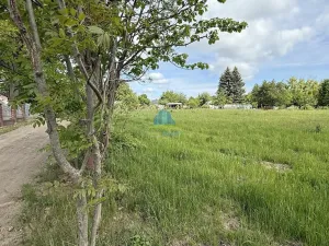 Prodej zahrady, Františkovy Lázně - Horní Lomany, Horní, 1146 m2