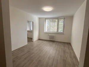 Pronájem bytu 3+1, Slušovice, Padělky, 72 m2