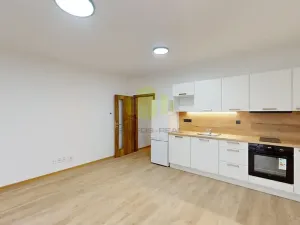 Pronájem bytu 1+kk, Olomouc, Janského, 34 m2