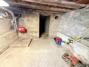 Pronájem rodinného domu, Moravský Krumlov - Rakšice, N. J. Návesníka, 319 m2