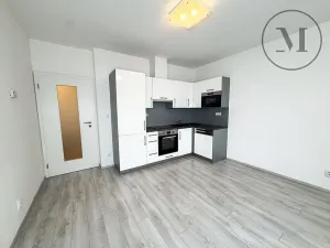 Pronájem bytu 2+kk, České Budějovice, Klaricova, 48 m2