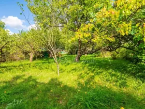 Prodej rodinného domu, Bukovany, 279 m2