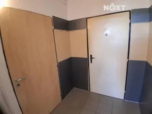 Pronájem bytu 3+kk, České Budějovice, Větrná, 67 m2