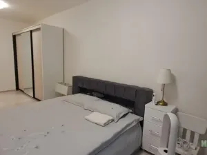 Pronájem bytu 2+kk, Praha - Žižkov, Jana Želivského, 119 m2