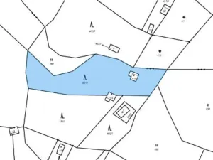 Prodej lesa, Strunkovice nad Volyňkou, 2510 m2