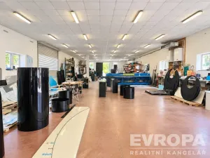 Prodej výrobních prostor, Chotíkov, 1200 m2