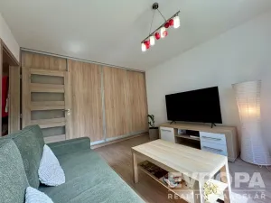 Pronájem bytu 1+1, Plzeň - Jižní Předměstí, Raisova, 30 m2