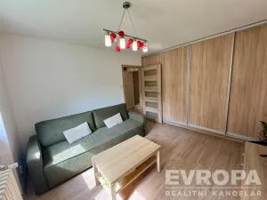 Pronájem bytu 1+1, Plzeň - Jižní Předměstí, Raisova, 30 m2