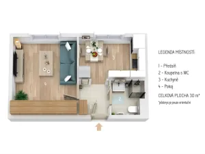 Pronájem bytu 1+1, Plzeň - Jižní Předměstí, Raisova, 30 m2