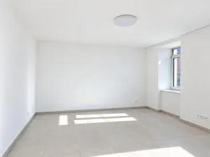 Pronájem bytu 3+1, Rybníček, 126 m2