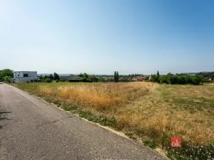 Prodej zahrady, Vyškov, 2463 m2