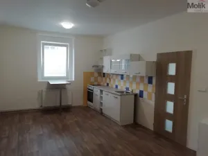 Pronájem bytu 3+kk, Cítoliby, V Poustkách, 65 m2