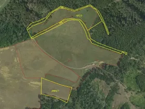 Dražba louky, Letovice, 25345 m2