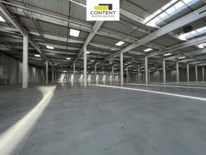 Pronájem výrobních prostor, Ostrava - Vítkovice, Halasova, 5195 m2