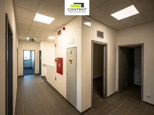 Pronájem výrobních prostor, Ostrava - Vítkovice, Halasova, 5195 m2