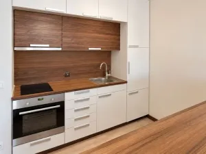 Pronájem bytu 1+kk, Olomouc, Janského, 32 m2