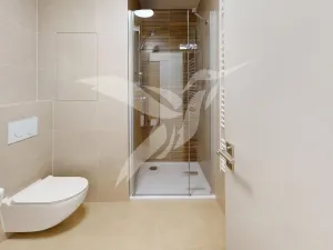 Pronájem bytu 1+kk, Plzeň, Železná, 30 m2