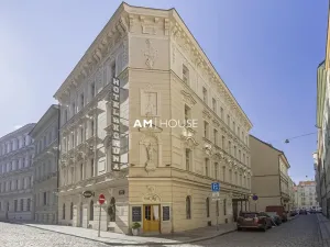 Pronájem ubytování, Praha - Nové Město, Opatovická, 1000 m2