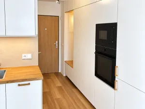 Prodej bytu 1+kk, Plzeň, 19 m2