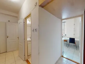Prodej bytu 2+1, Brno, Palackého třída, 51 m2