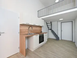 Pronájem bytu 1+kk, Brno - Veveří, Mášova, 22 m2