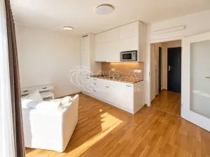 Pronájem bytu 1+kk, Praha - Radlice, Na Farkáně I, 28 m2