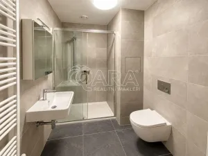 Pronájem bytu 1+kk, Praha - Radlice, Na Farkáně I, 28 m2