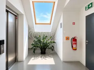 Pronájem bytu 1+kk, Praha - Radlice, Na Farkáně I, 28 m2