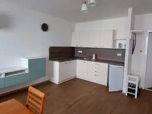 Pronájem bytu 1+kk, Ústí nad Labem, Neštěmická, 31 m2