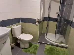 Pronájem bytu 1+kk, Ústí nad Labem, Neštěmická, 31 m2
