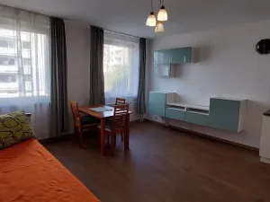 Pronájem bytu 1+kk, Ústí nad Labem, Neštěmická, 31 m2