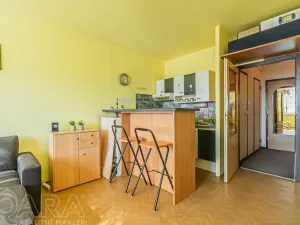 Prodej bytu 1+kk, Praha - Chodov, Klapálkova, 30 m2