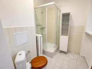Prodej bytu 1+1, Ústí nad Labem, Palachova, 47 m2