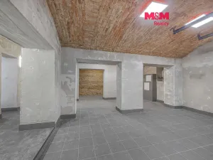 Prodej obchodního prostoru, Praha, Seifertova, 110 m2