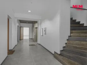 Prodej obchodního prostoru, Praha, Vlkova, 48 m2